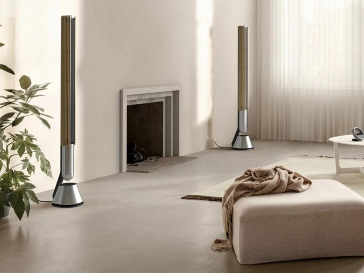 Chi tiết Loa B&O Beolab 28 - Hình 4